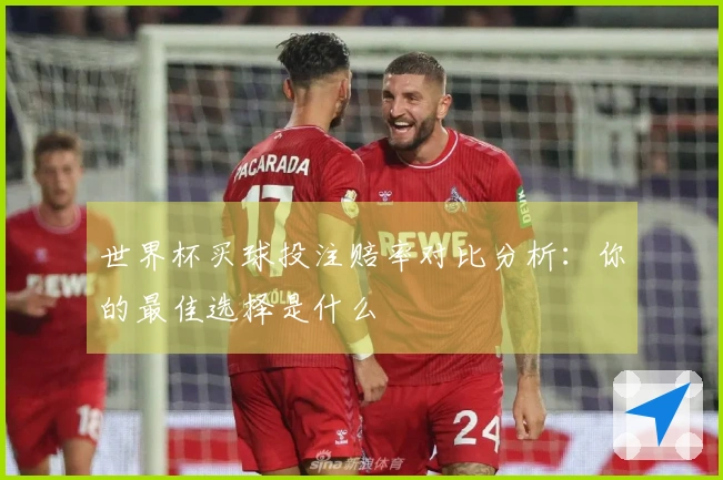 世界杯买球投注赔率对比分析：你的最佳选择是什么