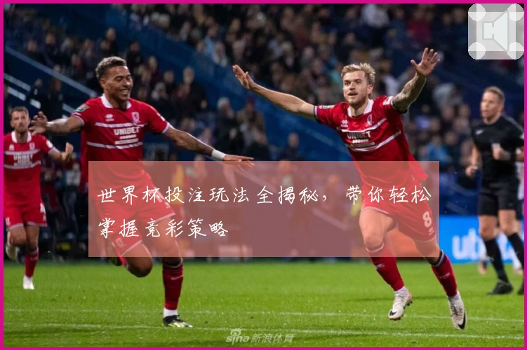 世界杯投注玩法全揭秘，带你轻松掌握竞彩策略