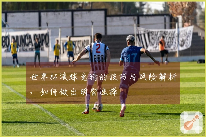 世界杯滚球竞猜的技巧与风险解析，如何做出明智选择